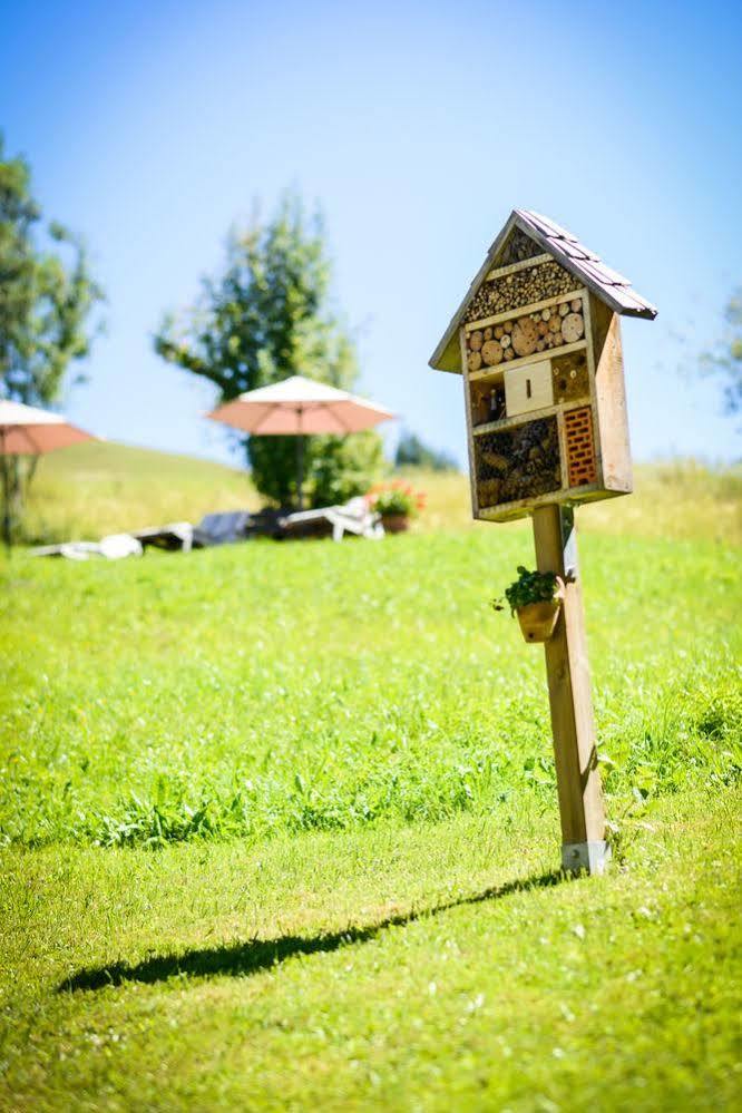 Pension Pinzgauer Hof Maria Alm am Steinernen Meer Exteriör bild